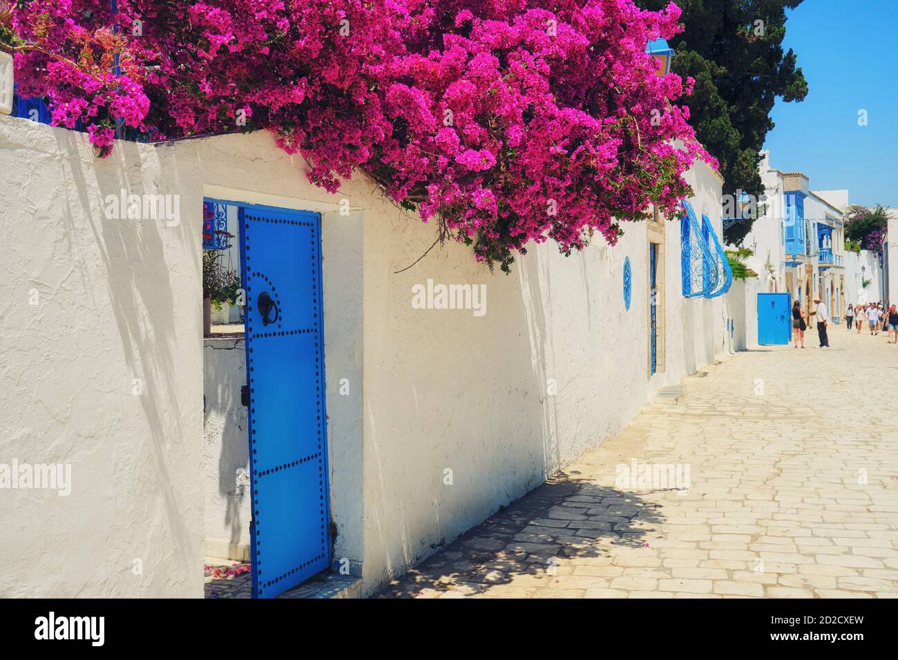 Fleurs violettes dans une rue touristique de Sidi Bou Said, Tunisie Banque D'Images