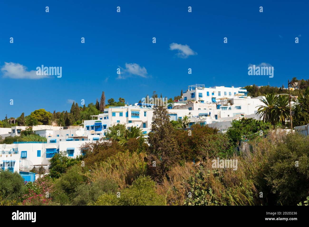 Tunisia Tunis Street Banque D Image Et Photos Page 7 Alamy