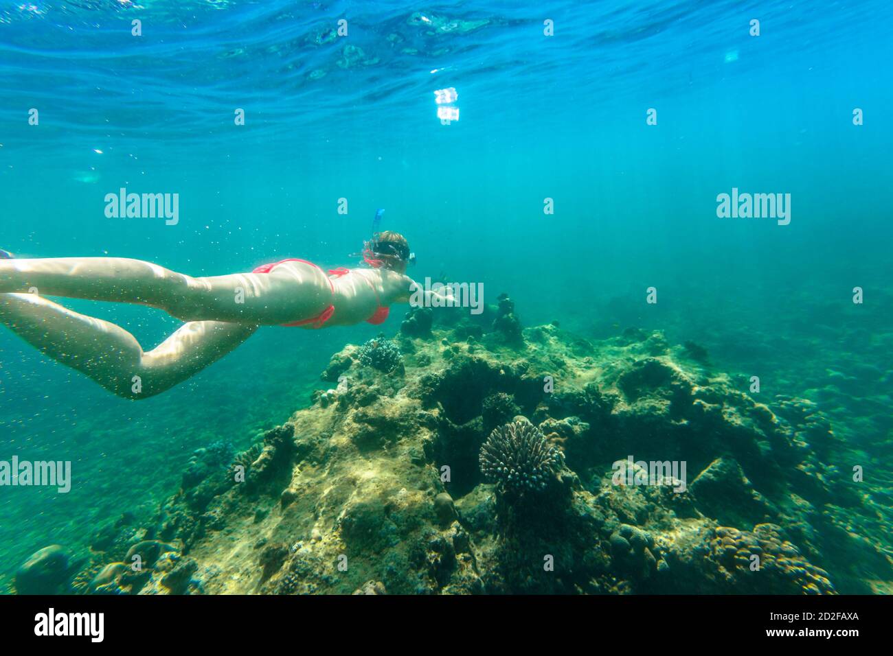 Femme snorkeling dans le bikini rouge dans le récif de corail des îles Surin, la mer d'Andaman, au nord de Phuket, Phang Nga en Thaïlande. Natation à Ko Surin Marine Banque D'Images