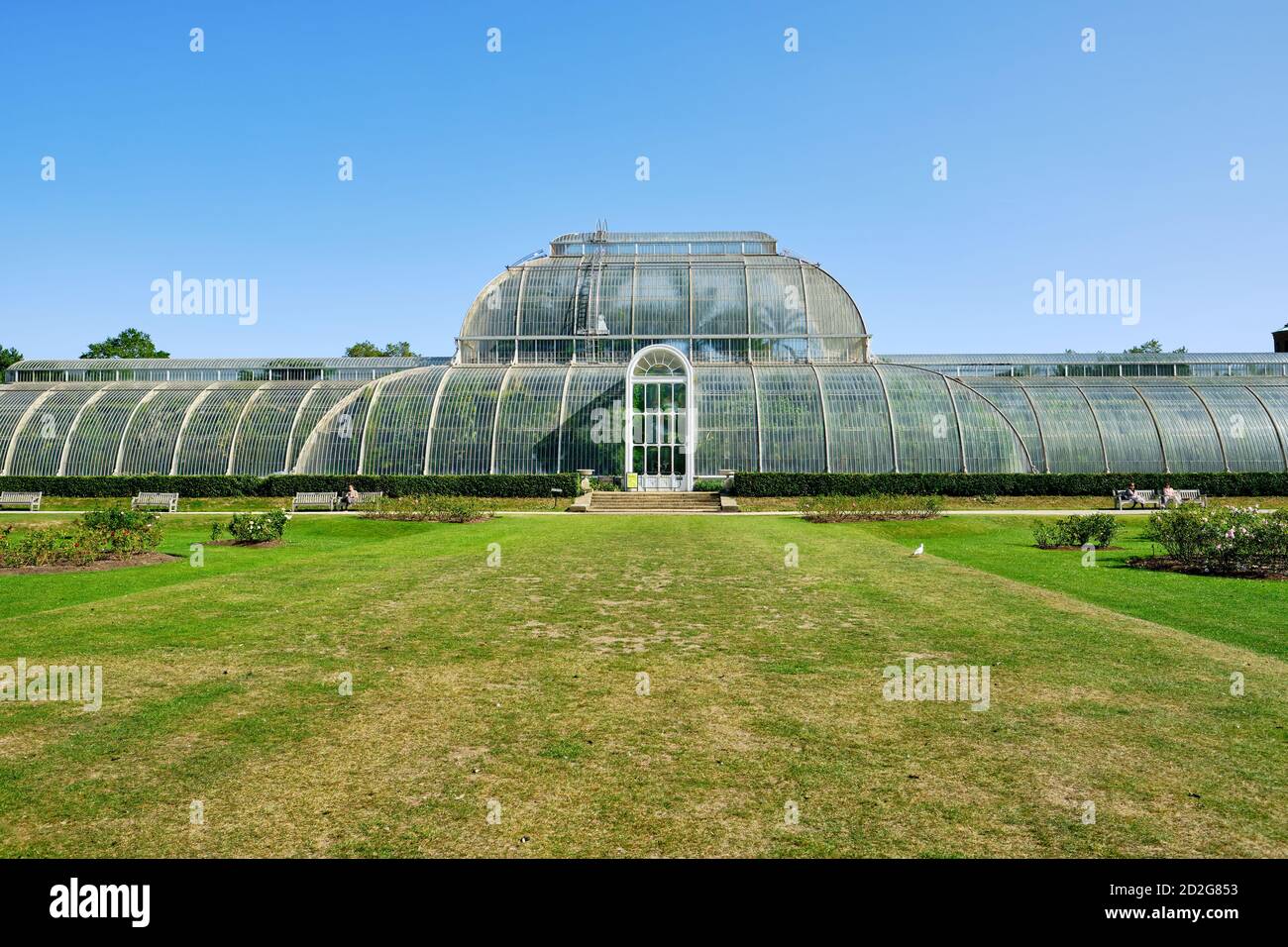 Le Palm House dans les jardins botaniques royaux, Kew à Richmond sur la Tamise, dans un ciel bleu clair. Vue depuis la roseraie. Banque D'Images