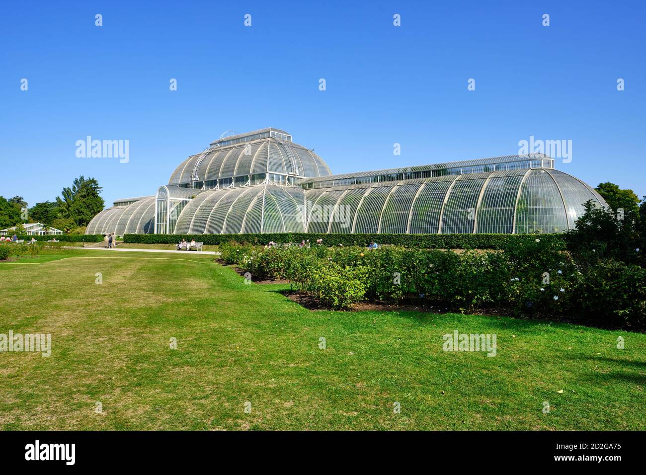 Vue en perspective de la Palm House dans les jardins botaniques royaux, Kew à Richmond sur la Tamise, dans un ciel bleu clair. Banque D'Images