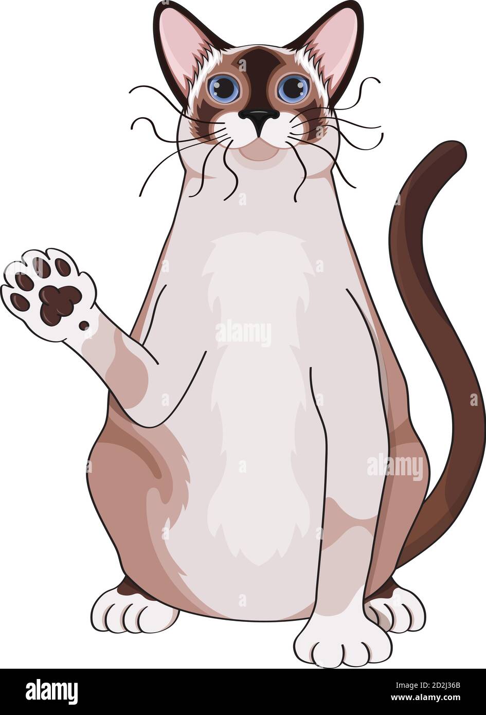 Gros mignon chat thaïlandais fait vagues son patte et dit bonjour Illustration de Vecteur