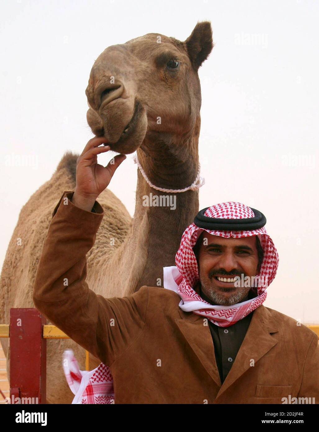 Saudi Khaled Bin Hashem Pose Avec Son Chameau Lors De La Competition Mazayen Al Ibl Pour Trouver Les Plus Beaux Chameaux Dans La Region Desertique D Um Rgheiba 400 Km 248 Miles De Riyad