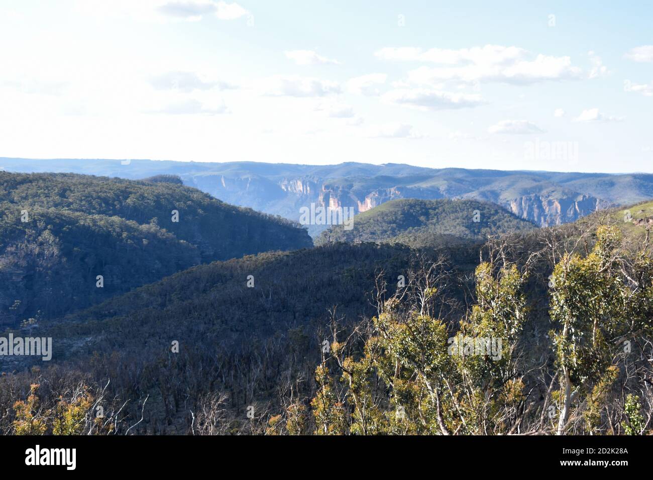 falaises dans les montagnes bleues avec des arbustes et des plantes Banque D'Images