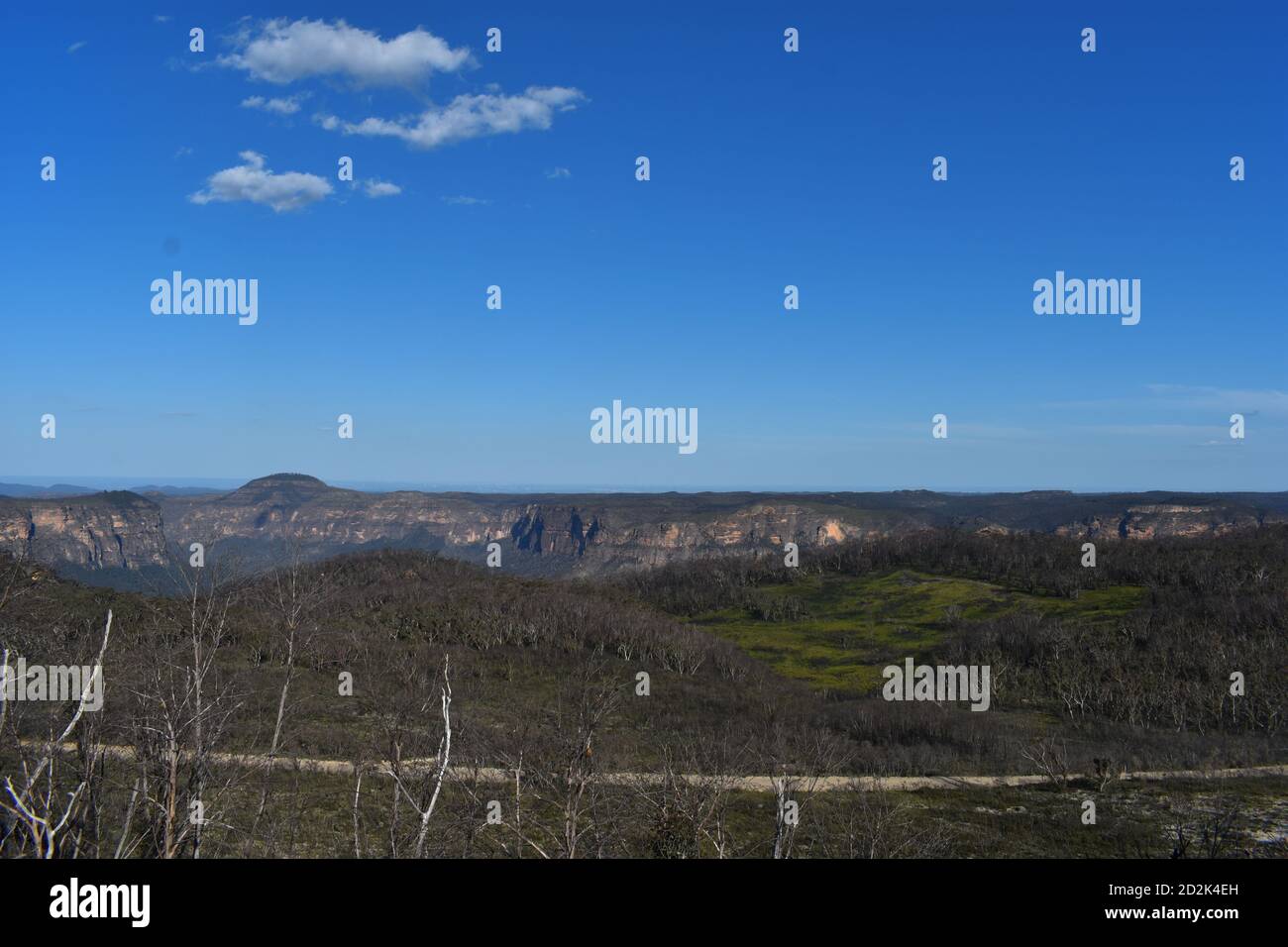 vue sur les falaises, la flore et la repousse des arbres et des plantes brûlés Banque D'Images