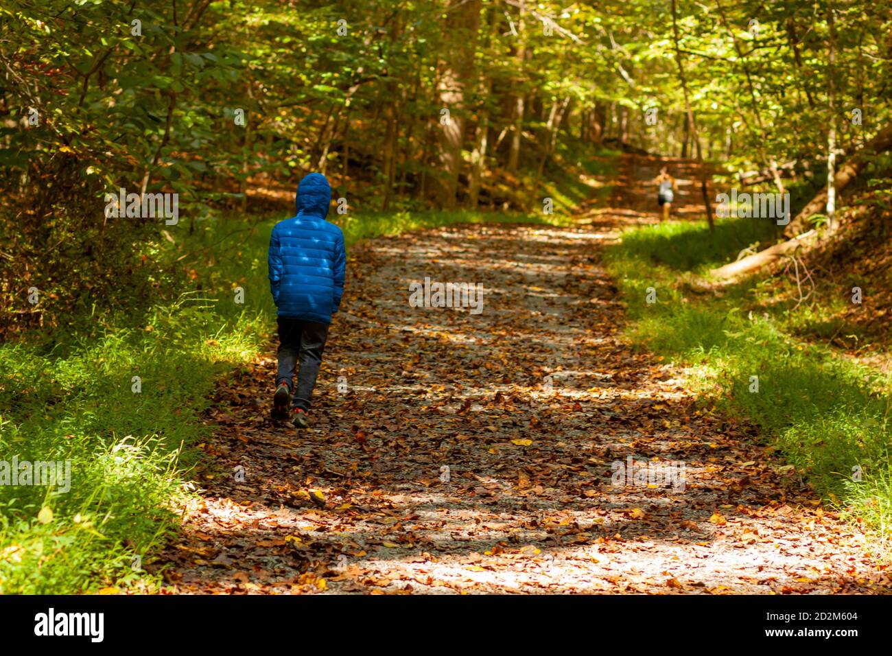 Un garçon portant un manteau d'hiver avec une capuche marche seul dans un sentier de randonnée couvert de feuilles d'automne tombées. Le sentier traverse une forêt et est s Banque D'Images