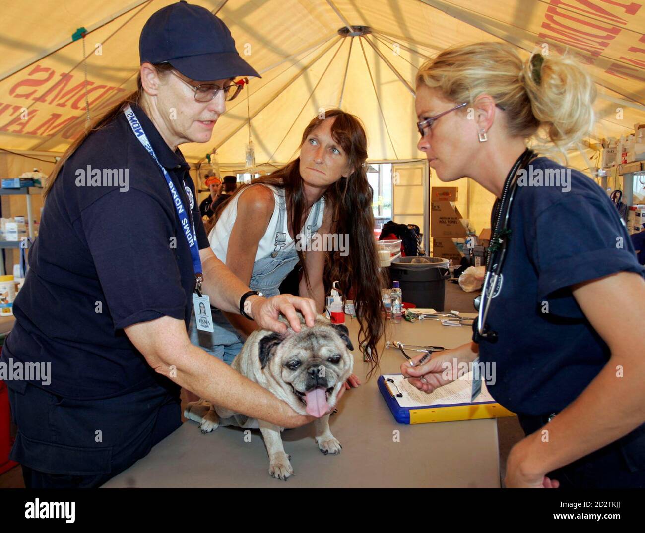 Dr Southam and Vet Tech LaBelle-Lake with the VMAT talk with Clark of Pass  Christian as they treat a Chinese pug in Gulfport. Dr. Lenore Southam (L)  and Vet Tech Michelle LaBelle-Lake (