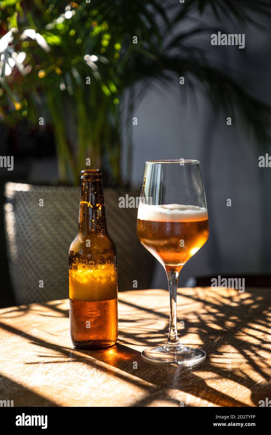 Gobelet en verre de bière mousseuse froide placé près d'une bouteille ouverte sur une table en bois dans un pub confortable Banque D'Images