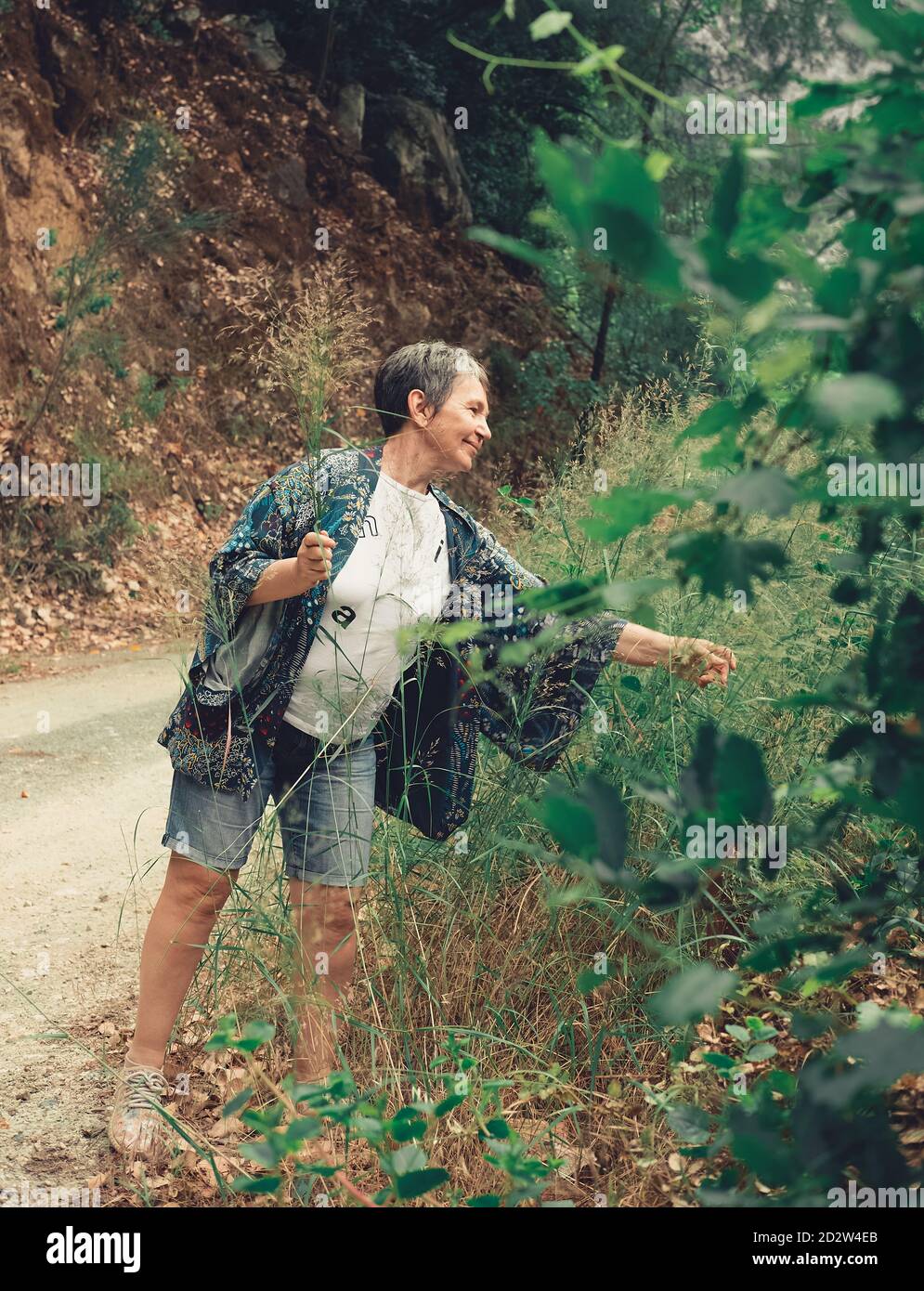 Femme âgée qui récolte des plantes dans la nature. Femme âgée qui profite du temps dans la forêt. Banque D'Images Femme âgée qui récolte des plantes dans la nature. Femme âgée qui profite du temps dans la forêt. Banque D'Images