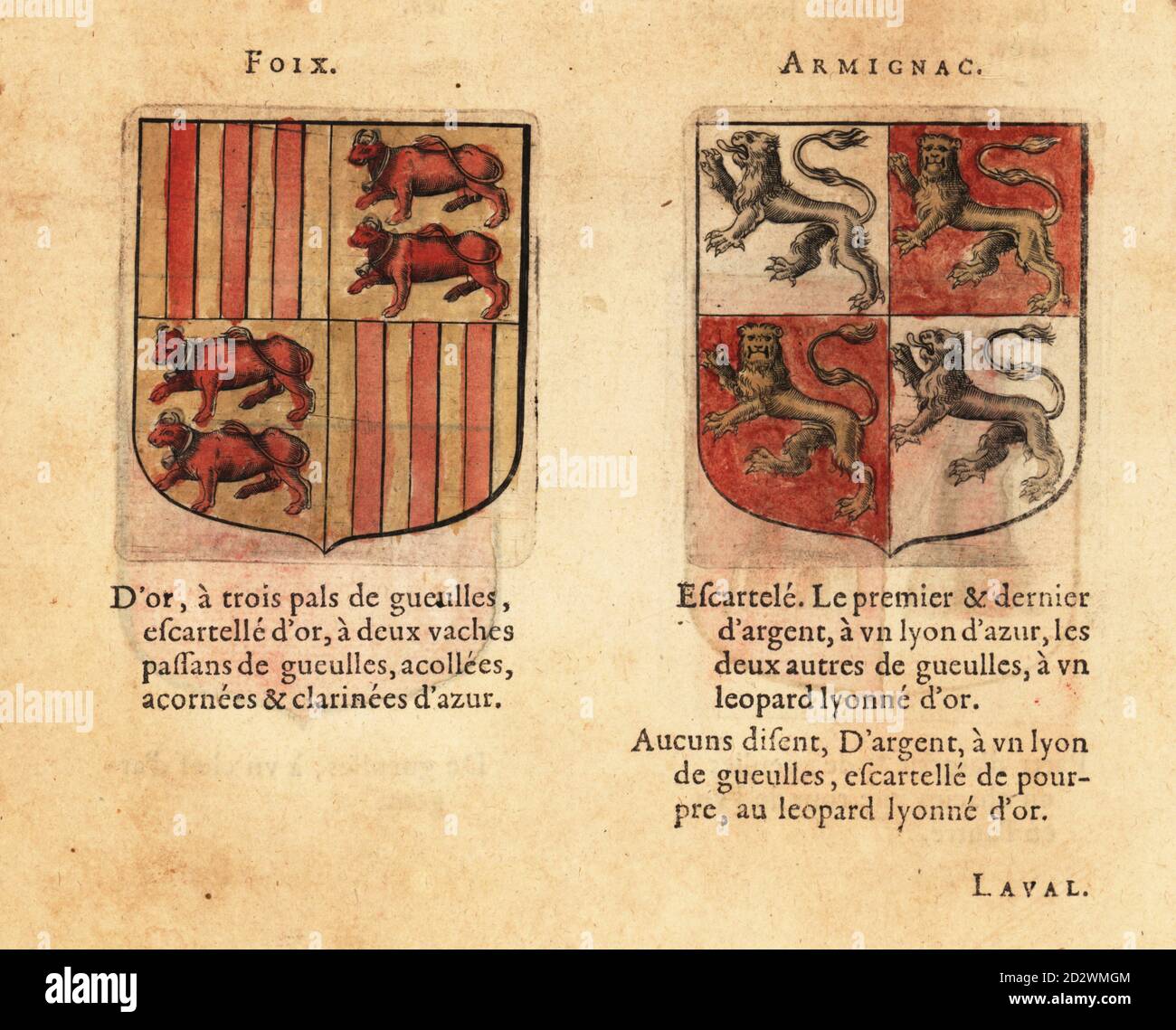 Armoiries du Comte de Foix, trimestrielles avec trois pales rouges et deux taureaux rouges sur le champ d'or, et le Comte d'Armagnac, trimestriellement, avec des lions bleus et des lions de léopards d'or. Comtez : Foix, Arpignac. Gravure de blocs de bois de couleur main de Hierosme de Bara’s le Blason des Armoiries, chez Rolet Bouton, Paris, 1628 Banque D'Images