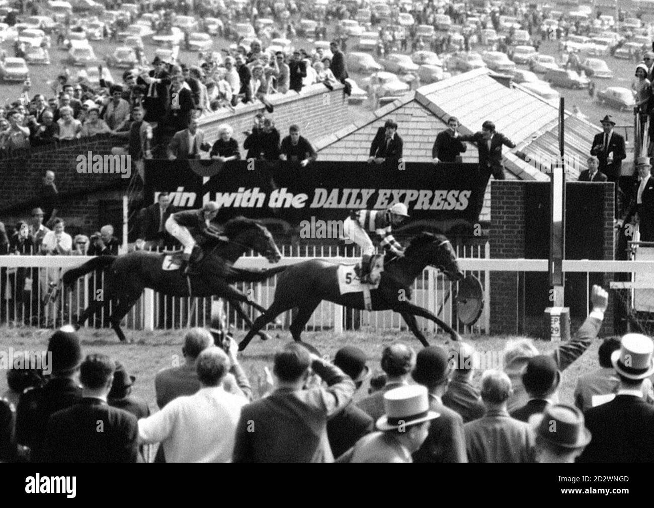Photo du dossier datée du 29/5/68 de la fin des piquets de Derby à Epsom avec le vainqueur de la maison Lester Piggott Sir Ivor. Piggott a annoncé aujourd'hui (Sun) son départ à la retraite final de l'équitation. Le 11 fois champion jockey, qui a 60 ans en novembre, n'a pas monté en Grande-Bretagne cette saison et a dit aujourd'hui Mail dimanche: "Je suis fatigué de la lutte pour maintenir mon poids de conduite." Voir PA Story RACING Piggott. (Noir et blanc uniquement) Banque D'Images