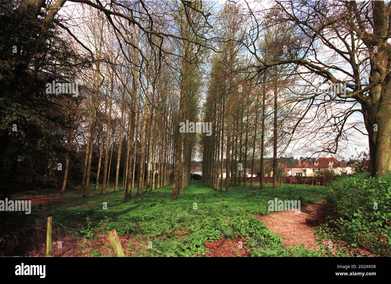 Partie du jardin de Lord Denning à Whitchurch, Hants. L'ancien Maître des Rolls, âgé de 97 ans, se bat pour construire un parking sur le terrain. Banque D'Images