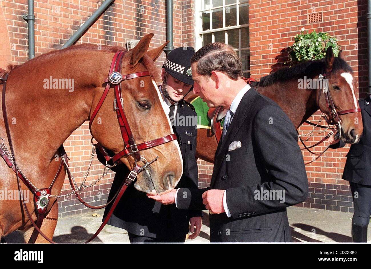 Le Prince de Galles alimente le mont du PC Peter Morrel lors de sa visite à l'ancienne maison de police de Hyde Park aujourd'hui (Weds). Photo de Tony Harris. Banque D'Images