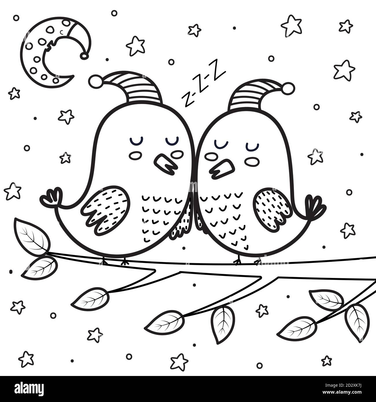 Page de coloriage de nuit des oiseaux de sommeil mignons. Lune et étoiles fond noir et blanc Illustration de Vecteur