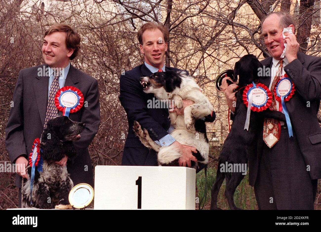 Le gagnant du concours du chien de l'année de Westminster est flanqué de la 3e place (à gauche) et de la deuxième place à Londres aujourd'hui (jeudi).(l/r) John Whittingdale (con, South Colchester et Maldon), avec Humphrey, un Blue Roan Cocker Spaniel, Phillip Oppenheim (con, Amber Valley) avec le vom a Border Collie Cross, et Peter Brooke (con, City of London et Westminster South) avec Koki, un Labrador Cross.Le concours, organisé par la Ligue nationale de défense canine et Wuffitmix Complete Dog Foods, a été mis en place pour promouvoir la propriété responsable des chiens dans toute la Grande-Bretagne.Photo de Fiona Hanson. Banque D'Images