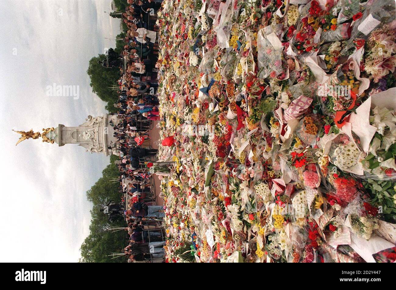 Les visiteurs en deuil voient les milliers d'hommages floraux rendus à l'extérieur de Buckingham Palace, après la mort tragique de Diana, princesse de Galles, dans les premières heures de dimanche matin. Voir l'histoire de PA DIANA Flowers. Photo de John Stillwell.. Banque D'Images