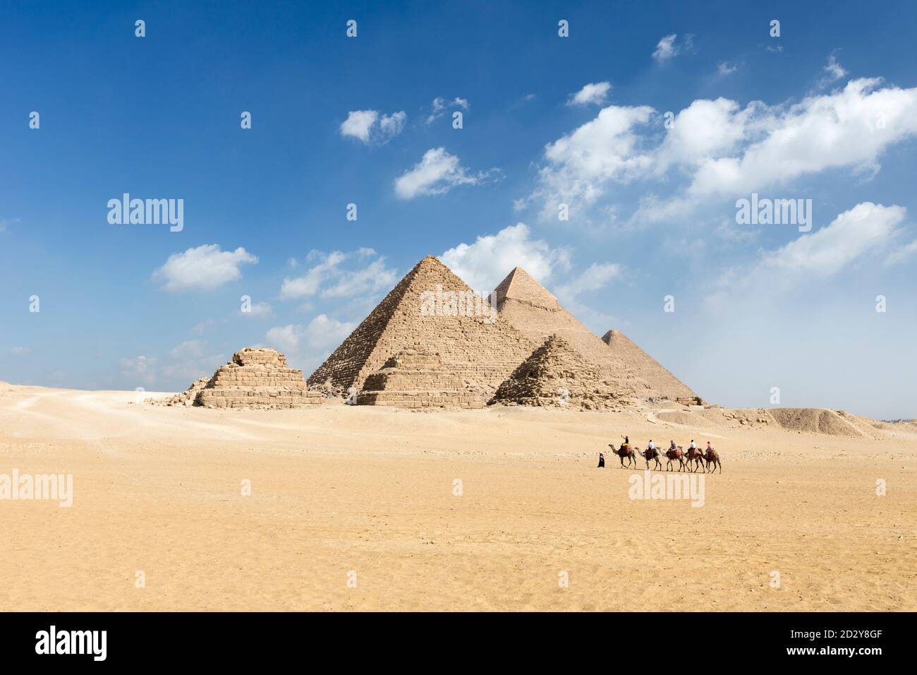 Promenade à dos de chameau au complexe de la pyramide, Gizeh, Égypte Banque D'Images