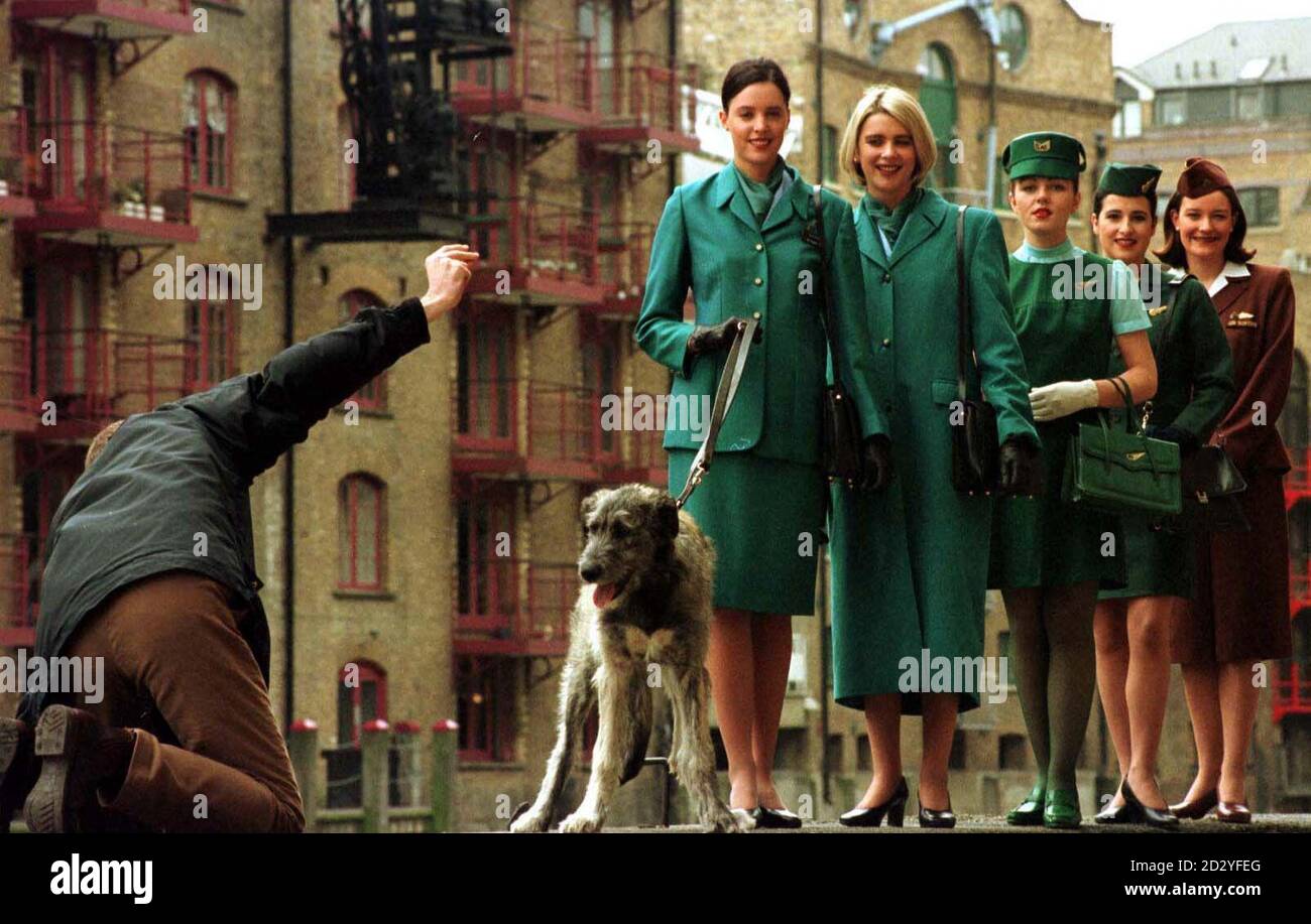 Finnegan, le chiot irlandais de la race Wolfchlow, s'avère être un problème pour son entraîneur, dans les Docklands de Londres aujourd'hui (lundi), lors du lancement du nouvel uniforme Aer Lingus à temps pour la Saint Patrick (demain). Finnegan a été rejoint par des modèles portant des uniformes couvrant cinq décennies (l/r) deux nouveaux uniformes, le style des années 70, les années 60 et 40. Le nouvel uniforme a été conçu par la designer irlandaise Louise Kennedy. Banque D'Images