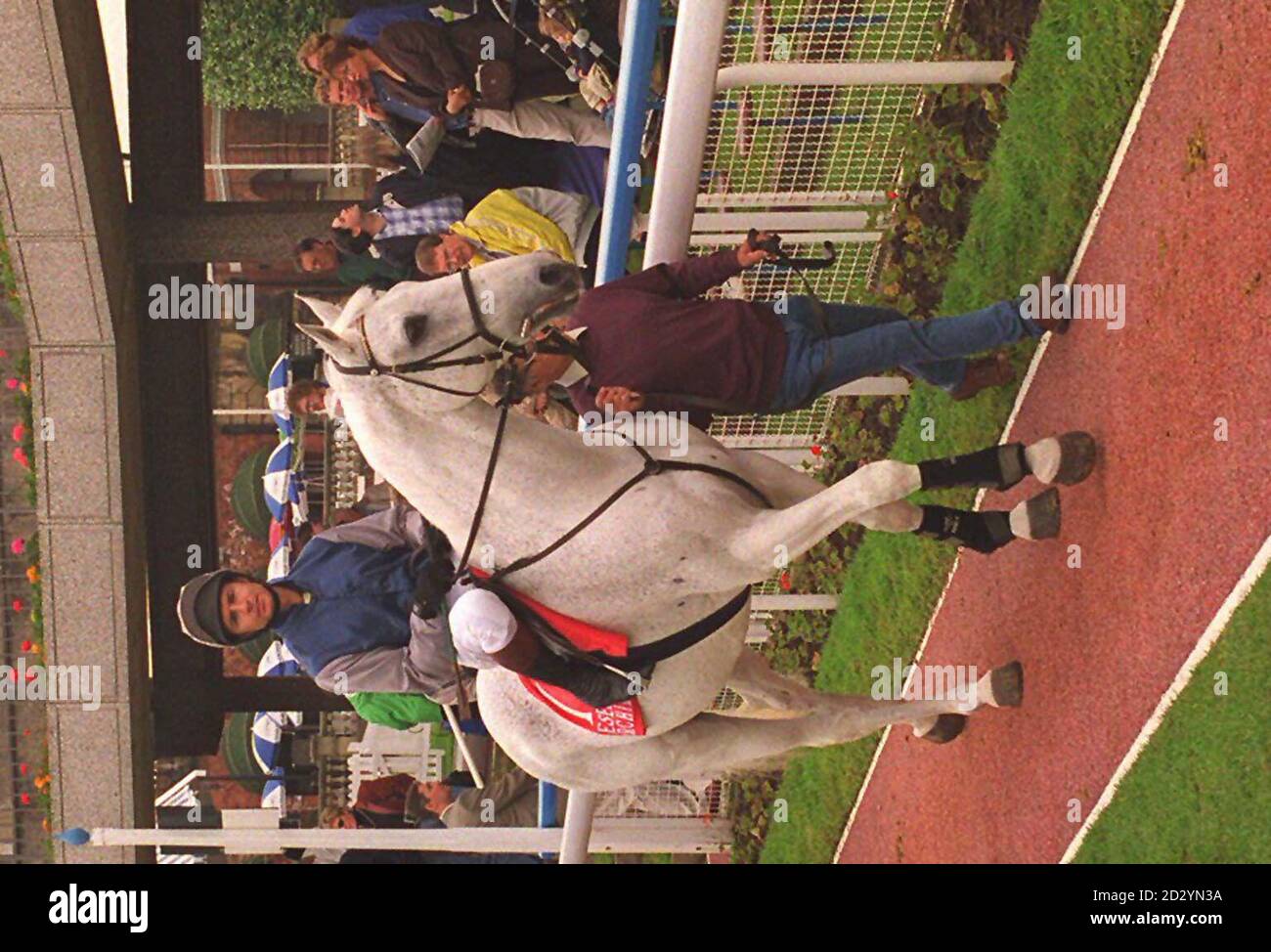 Desert Orchid avec Declan Murphy en haut, apprécie l'atmosphère de York Race course aujourd'hui (samedi) le célèbre steeplechaser a été la principale attraction de l'exposition du monde de course au cours. Regardez l'histoire des PA. Photos PA. Banque D'Images Desert Orchid avec Declan Murphy en haut, apprécie l'atmosphère de York Race course aujourd'hui (samedi) le célèbre steeplechaser a été la principale attraction de l'exposition du monde de course au cours. Regardez l'histoire des PA. Photos PA. Banque D'Images