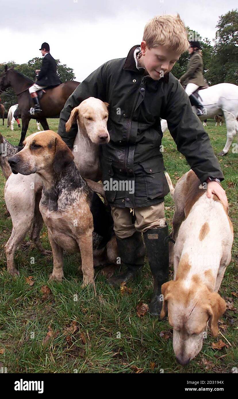 Robbie Henderson, âgé de 11 ans, rencontre les renards de la chasse Portman à Dorset alors que la nouvelle saison commence à Manston près du Forum Blandford . Le gouvernement présentera sous peu un projet de loi sur les options pour permettre aux députés de voter sur une éventuelle interdiction. * traditionnellement, le jour d'ouverture de la saison est le samedi le plus proche le 1er novembre, donc quelques chasses vont commencer le week-end prochain. Banque D'Images