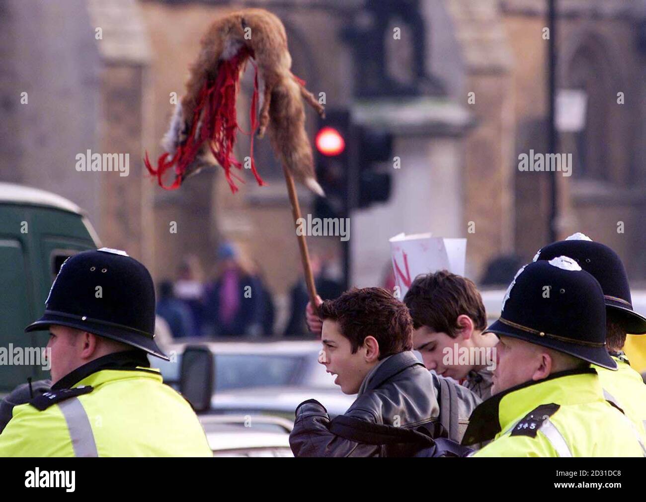 Un policier surveille les manifestants anti-chasse devant la Chambre des communes de Londres, avec des bannières et un renard faux. Partout au pays, des manifestations en faveur de la chasse étaient également en cours alors que des centaines de personnes se sont jointes aux réunions au mépris du projet de loi sur la chasse. *... Les partisans de ce sport controversé ont assisté à des rassemblements au Suffolk, au pays de Galles et en Cornouailles avant de partir sur les renards. Banque D'Images