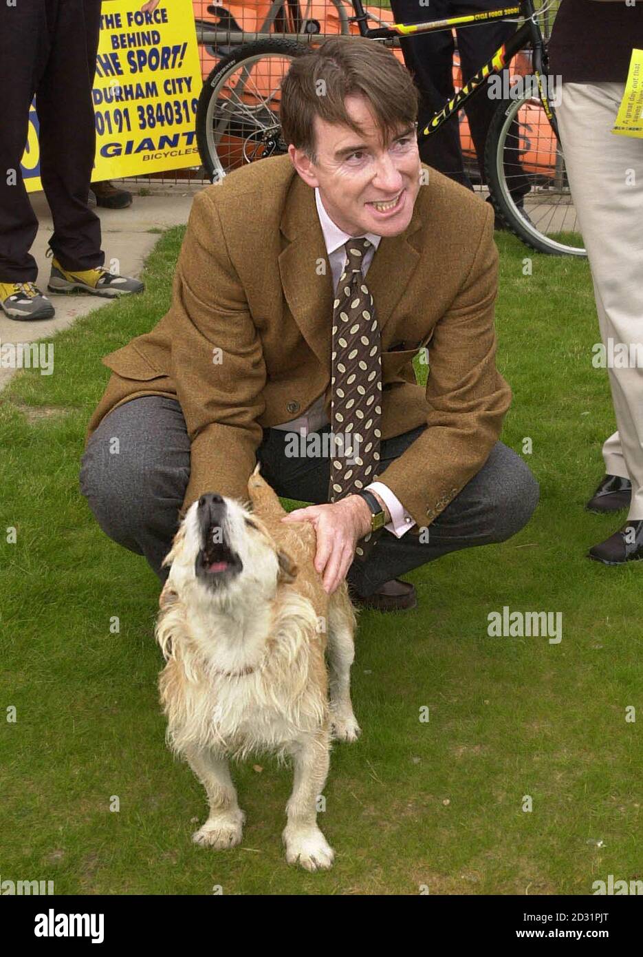 L'ancien secrétaire d'Irlande du Nord Peter Mandelson avec Butch, la mascotte du bateau de sauvetage Hartlepool tout en faisant campagne dans sa circonscription avant l'élection générale de juin 7. * M. Mandelson a démissionné plus tôt cette année à la suite d'allégations concernant son implication dans les demandes de passeport des frères hindous controversés. Une enquête officielle de Sir Anthony Hammond l'a plus tard libéré de toute irrégularité. Banque D'Images