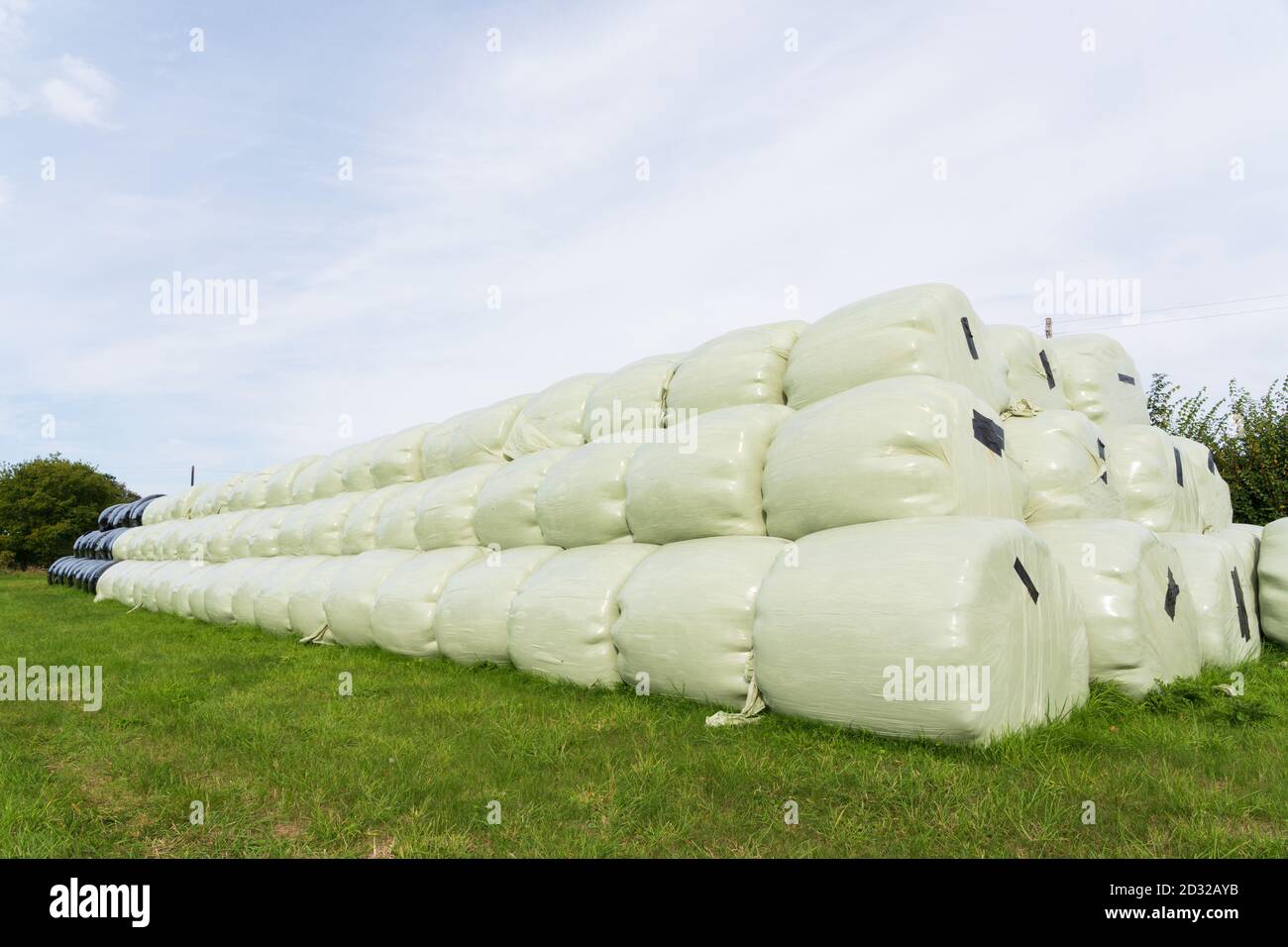 Grande pile de balles de foin/ensilage enveloppées dans du plastique Banque D'Images