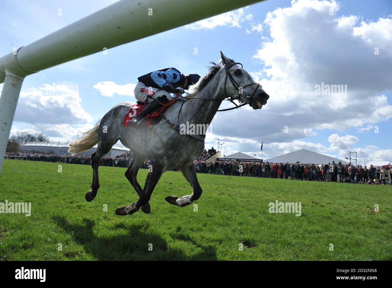 Gray Gold criblé par le jockey Bryan Cooper sur leur chemin vers la victoire dans la Madra Irish Dog Foods Novice Steeplechase pendant la Journée de la famille du Festival AES du 2013 au Punchmartown Racecourse, Co Kildare, Irlande. Banque D'Images