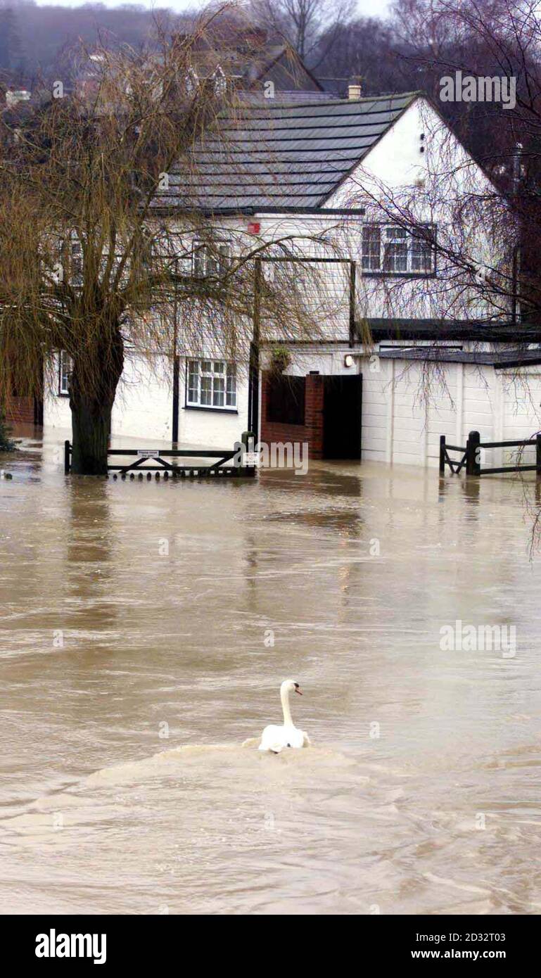 Les eaux d'inondation de Wateringbury dans le Kent. Les villageois ont été avertis par l'Agence de l'environnement que le pire devait encore venir avec plus de pluie, qui est tombé à travers le Hampshire, était censé atteindre Kent plus tard mercredi. Banque D'Images