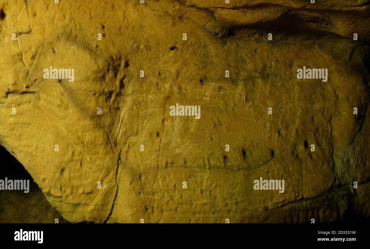 Un cheval est photographié dans les grottes de Cresswell Crags, près de Worksop à Notinghamshire, ce qui est considéré comme le premier art de grotte de l'âge de glace trouvé en Grande-Bretagne. Le Dr Paul Pettitt a fait la découverte initiale des gravures vieilles de 12,000 ans dans les grottes en avril 2003. Banque D'Images