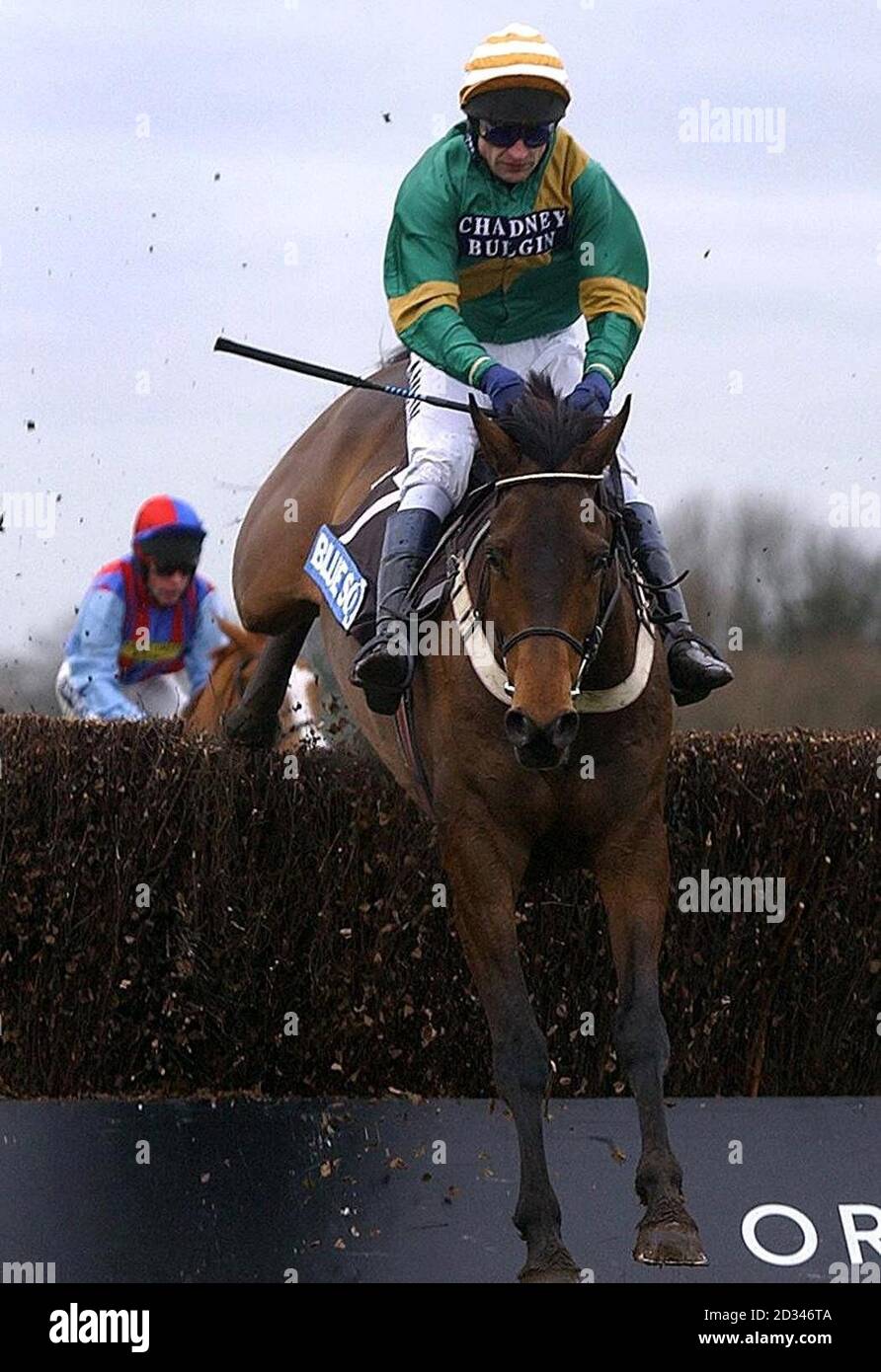 Spring Grove, monté par le jockey Andrew Thornton, saute la dernière clôture sur le chemin de gagner. Banque D'Images