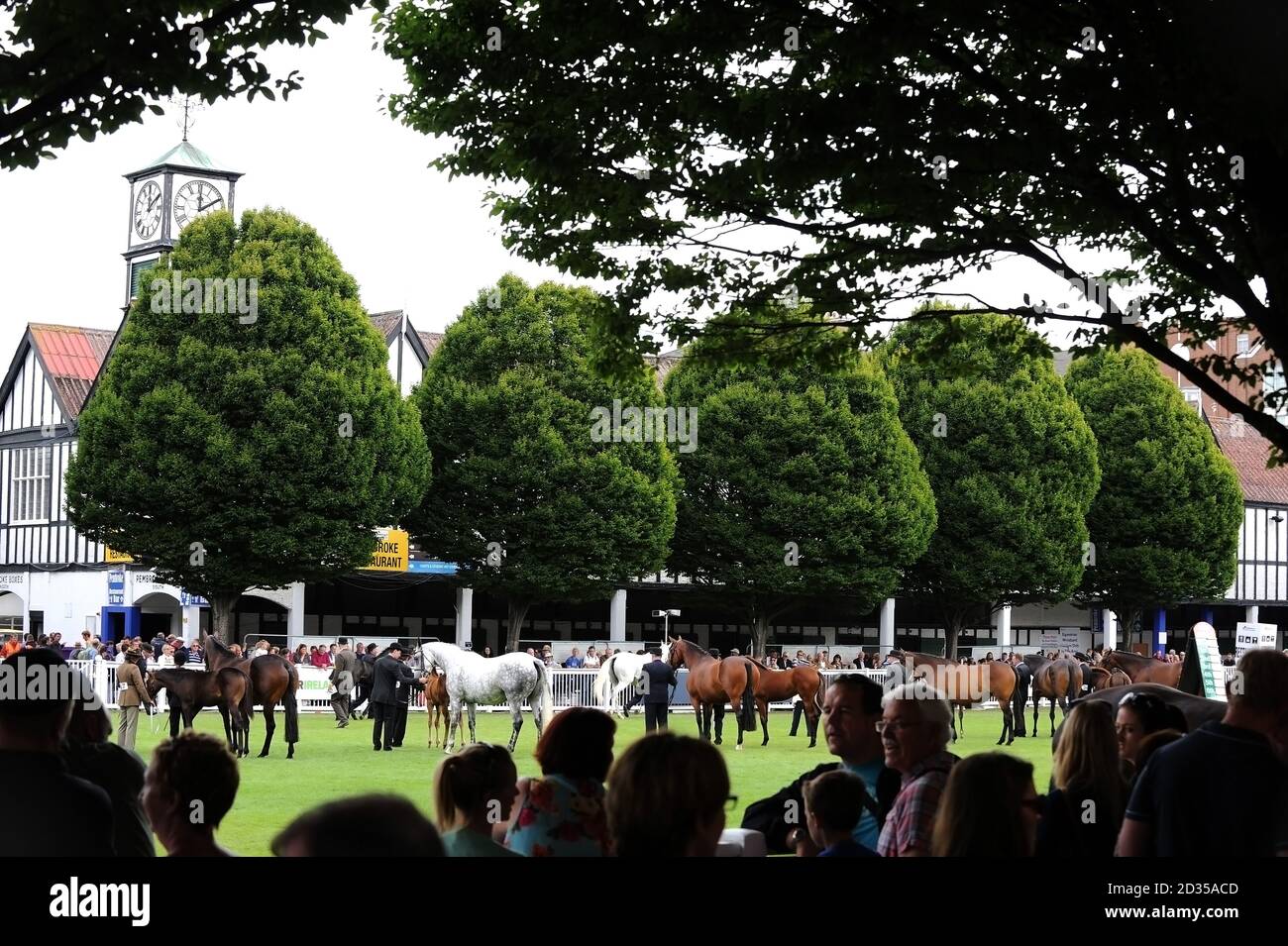 RDS Show Dublin 2013 Banque D'Images