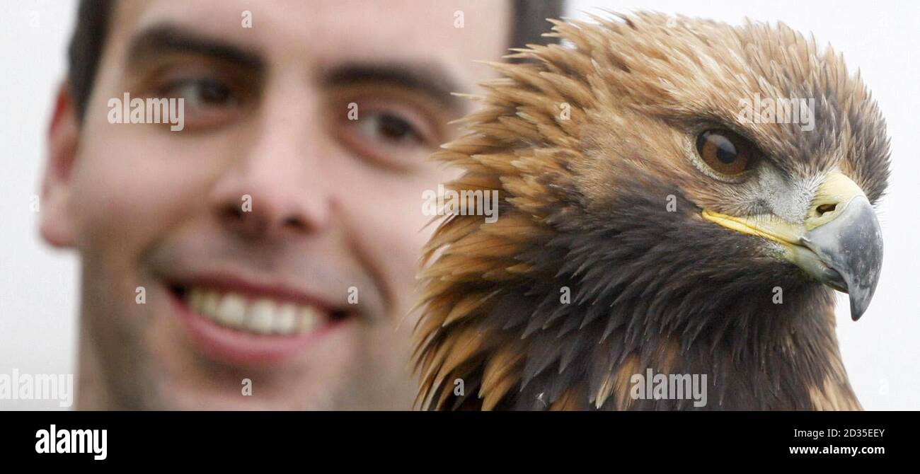 Maurice Golden, candidat à l'élection partielle du parti conservateur Glenrothes, lors d'une visite à Elite Falconry près de Kirkcaldy. Banque D'Images