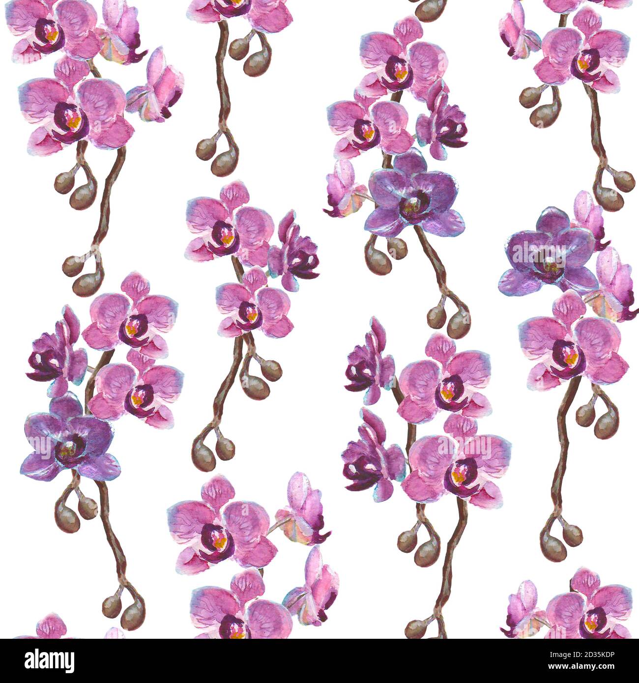 Aquarelle des branches d'orchidées peintes à la main motif sans couture sur fond blanc Banque D'Images