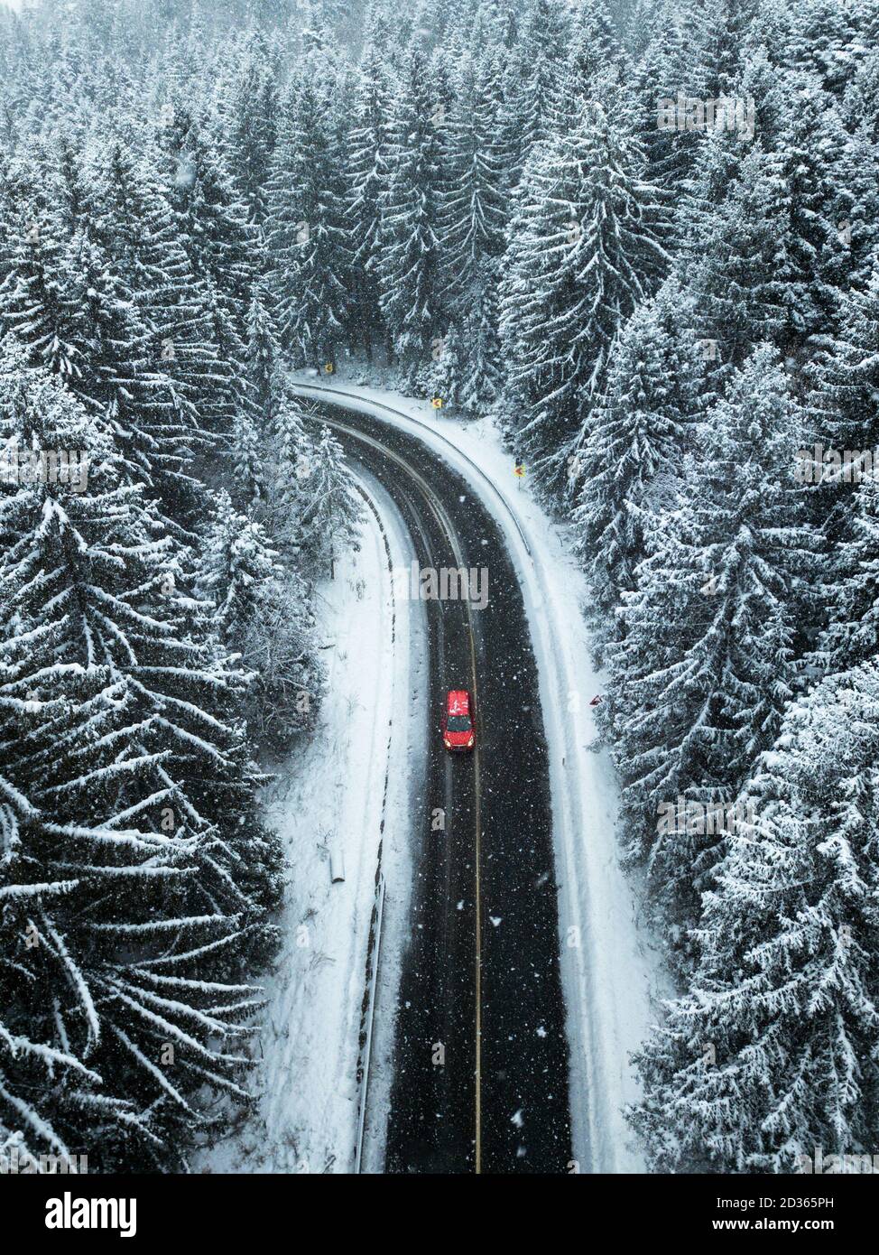 Vue aérienne de la forêt enneigée.UNE voiture rouge passant entre les arbres sur la route asphaltée. Concept de voyage nature. Banque D'Images