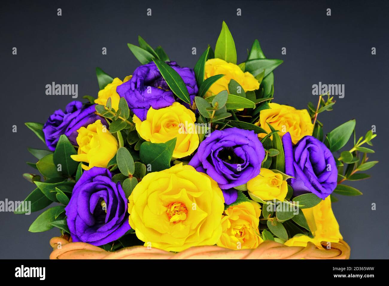Bouquet de roses sur fond noir. Fleurs jaunes et violettes dans un panier  en osier. Les roses avec des feuilles vertes sont recueillies dans la  composition. Magnifique Photo Stock - Alamy