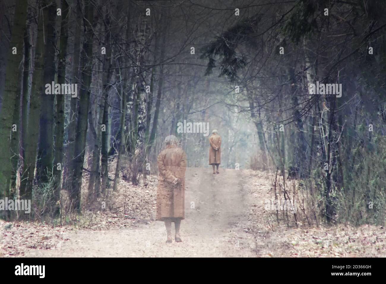 Le vieil homme quitte la route entre les arbres. La maladie d'Alzheimer et le retrait de la vie. Démence sénile et perte de mémoire. État dépressif à la retraite Banque D'Images