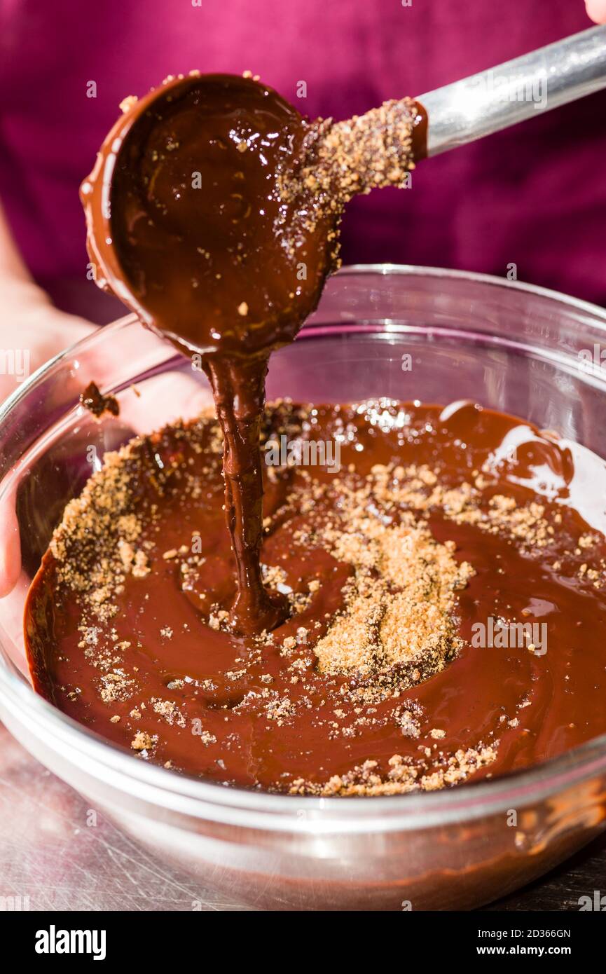 Ingrédients pour la préparation de la barre de chocolat artisanale Banque D'Images