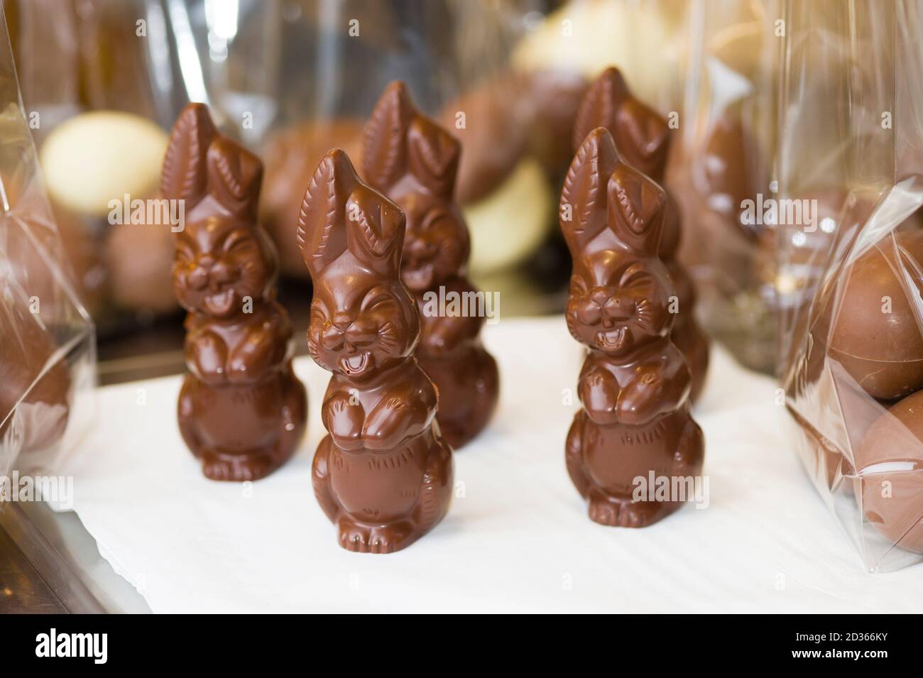 Ingrédients pour la préparation de la barre de chocolat artisanale avec des fruits secs Banque D'Images