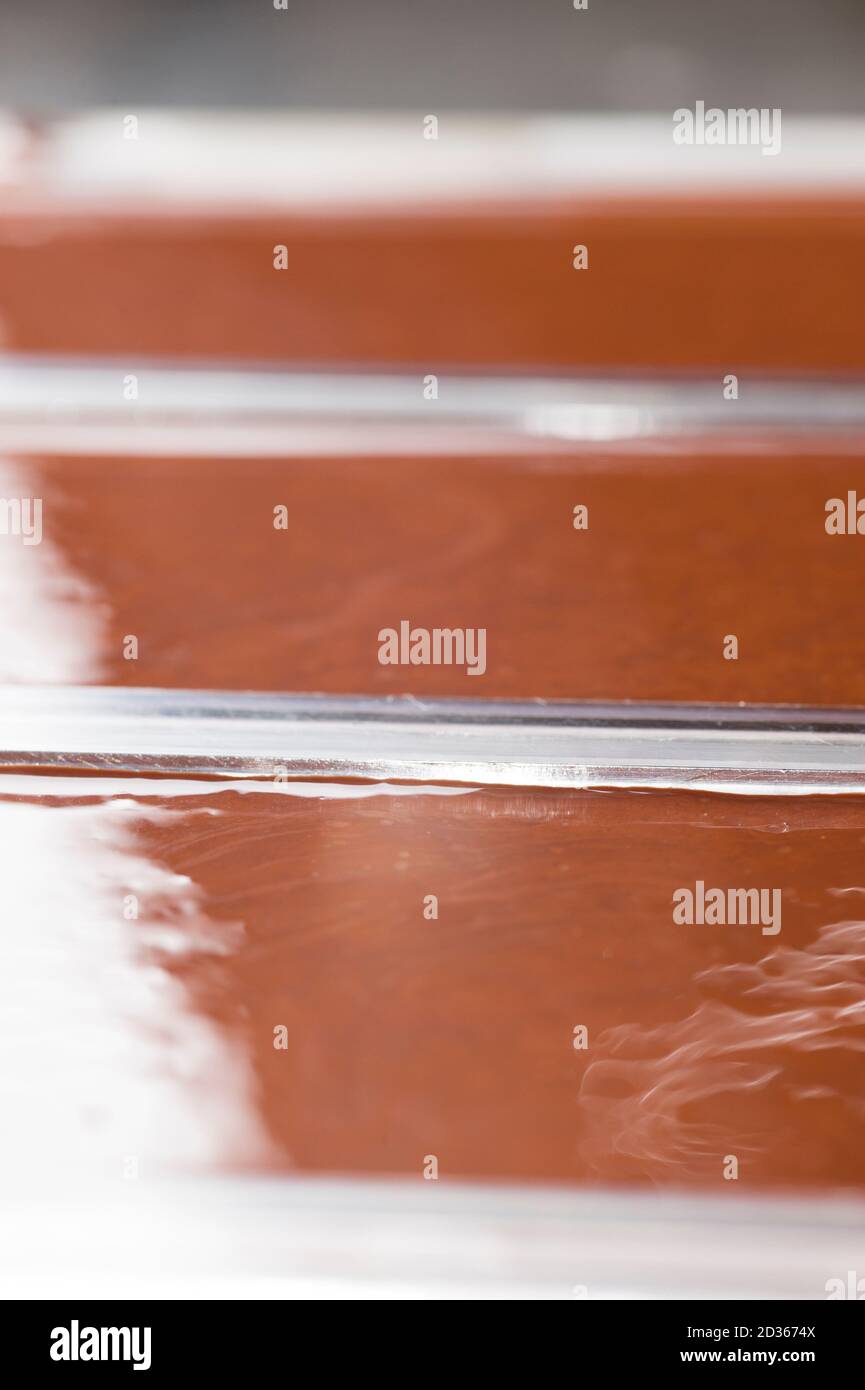 Ingrédients pour la préparation de la barre de chocolat artisanale avec des fruits secs Banque D'Images