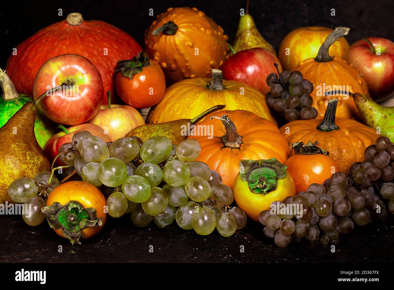 Récolte d'automne. Citrouilles, pommes, raisins, kinglet et poires sur fond rustique foncé. Banque D'Images