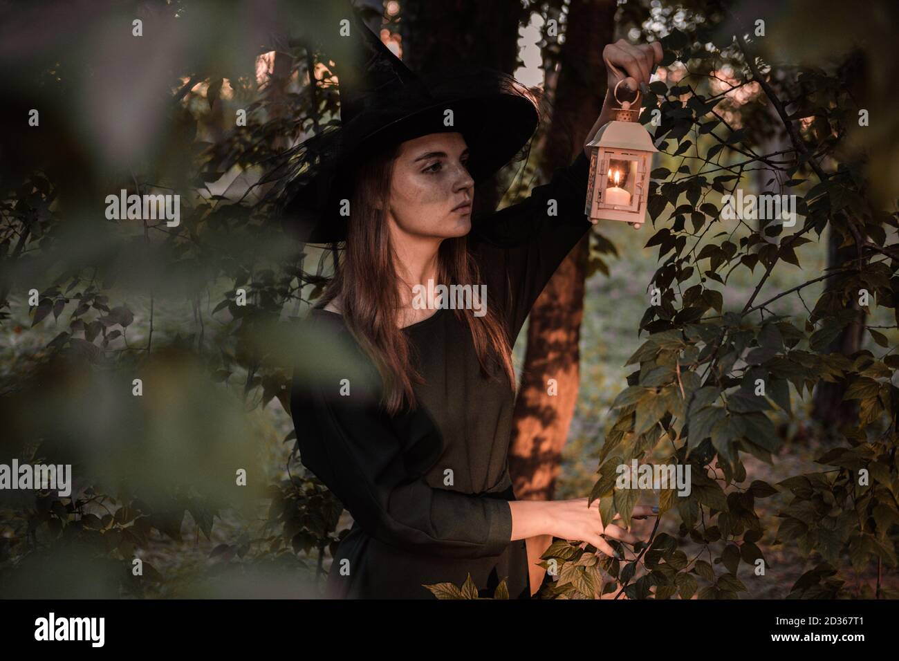 Une jeune femme en robe sombre et chapeau de sorcière tient une lanterne avec des bougies dans ses mains et illumine la forêt. Costume de fête d'Halloween. Garez-vous avec l'autom Banque D'Images