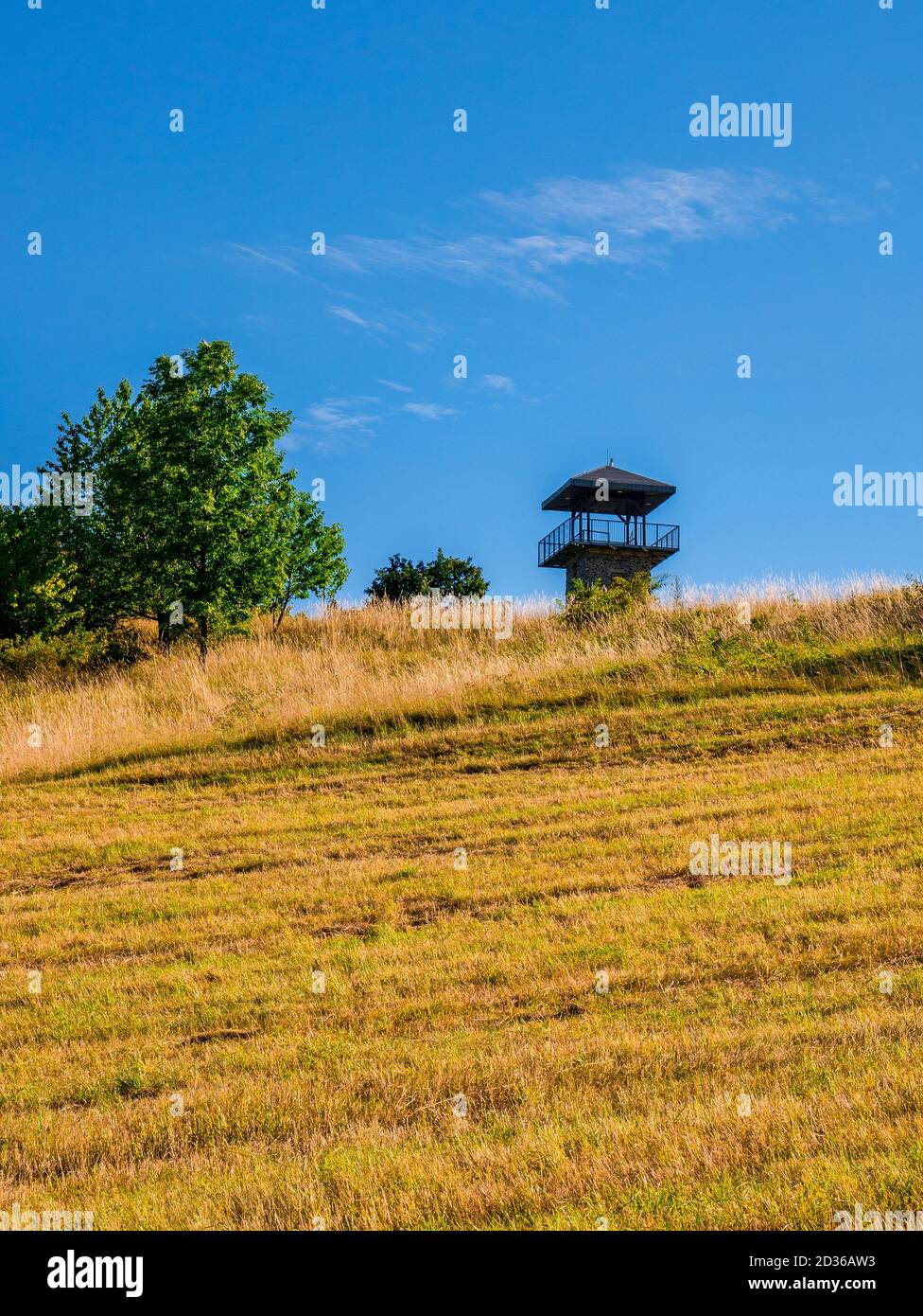 Erbenova vyhlidka - le sommet de la tour d'observation de l'Erben dépasse au-dessus de l'horizon avec un pré semi-sec Banque D'Images