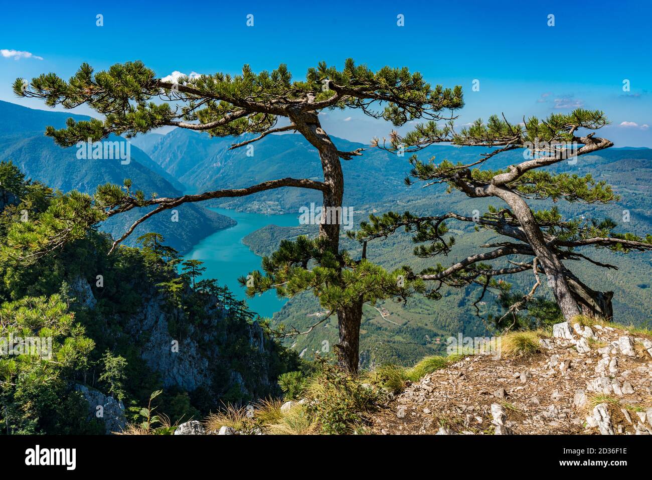 Vue sur le lac de Perucac et la rivière Drina depuis la montagne de Tara en Serbie Banque D'Images