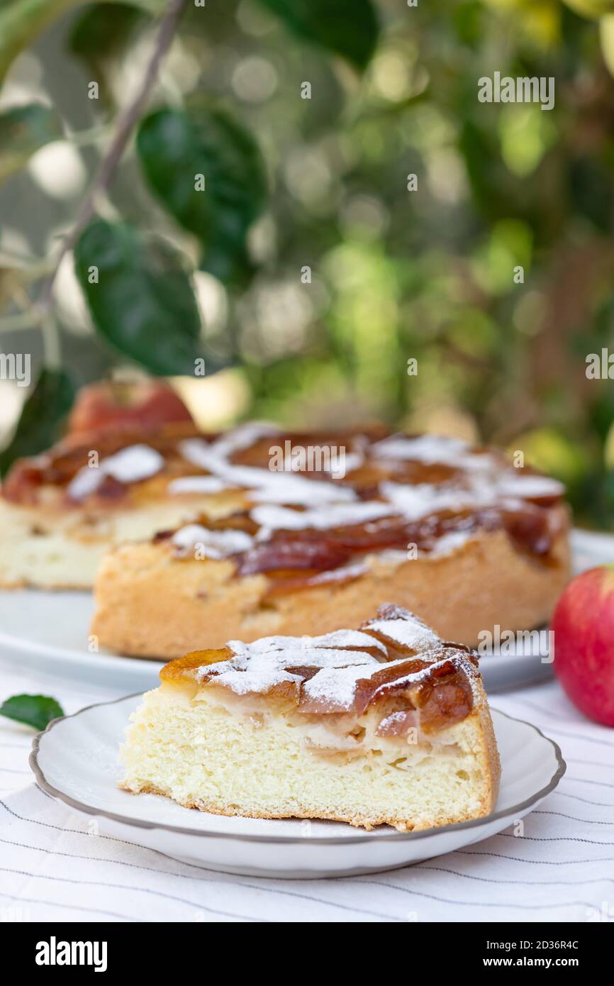 tranche de tarte aux pommes délicieuse sur fond flou Banque D'Images