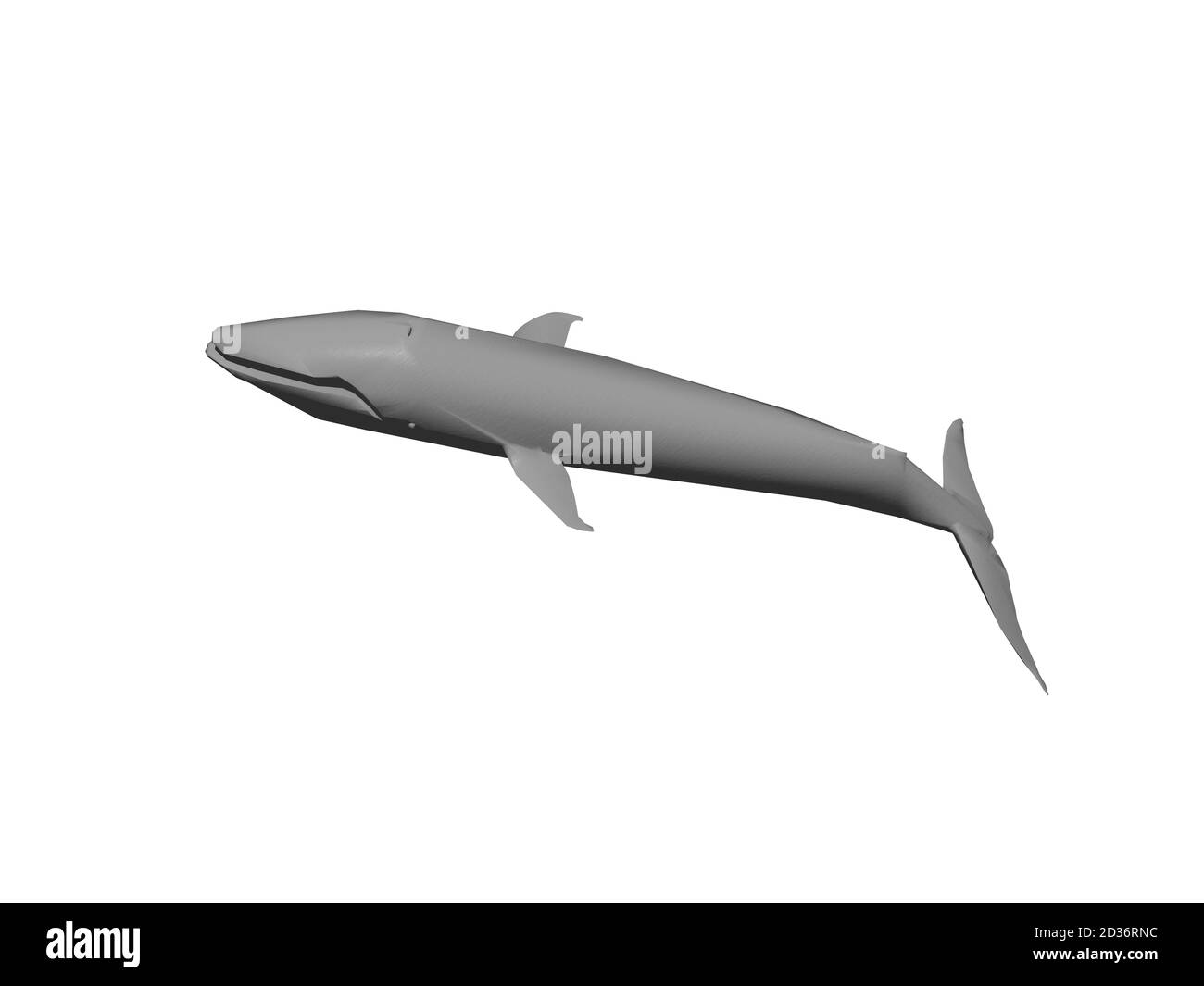 grande baleine grise dans la mer Banque D'Images