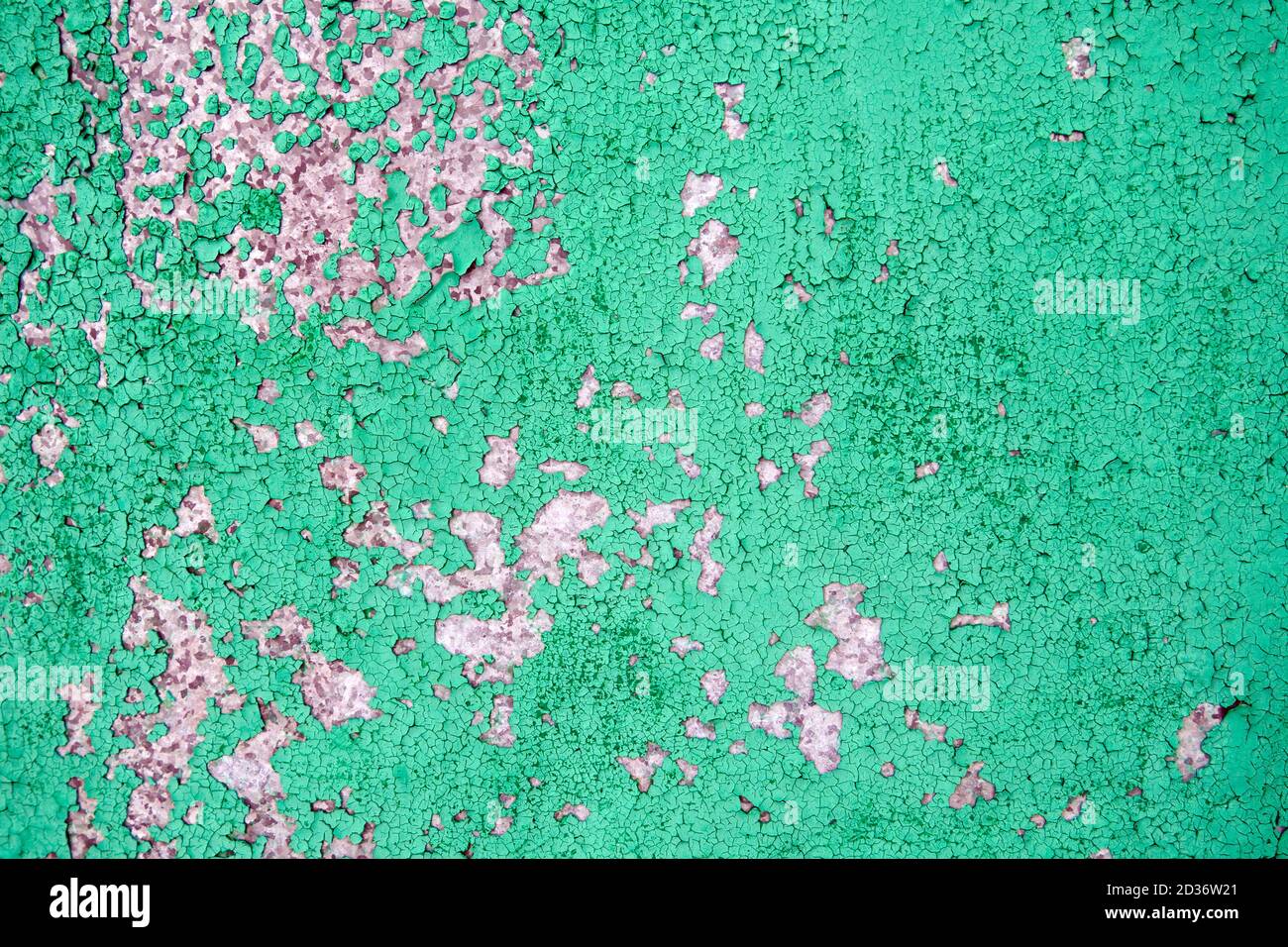 Arrière-plan de l'ancienne peinture verte fissurée sur le mur de ciment. Banque D'Images