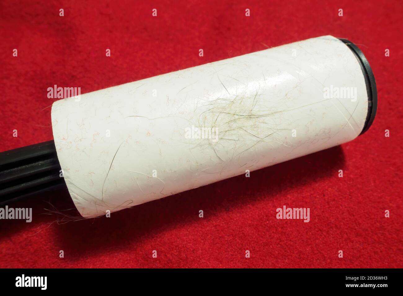Rouleau anti-peluches avec poils d'animaux sur tissu rouge, vue du dessus Banque D'Images