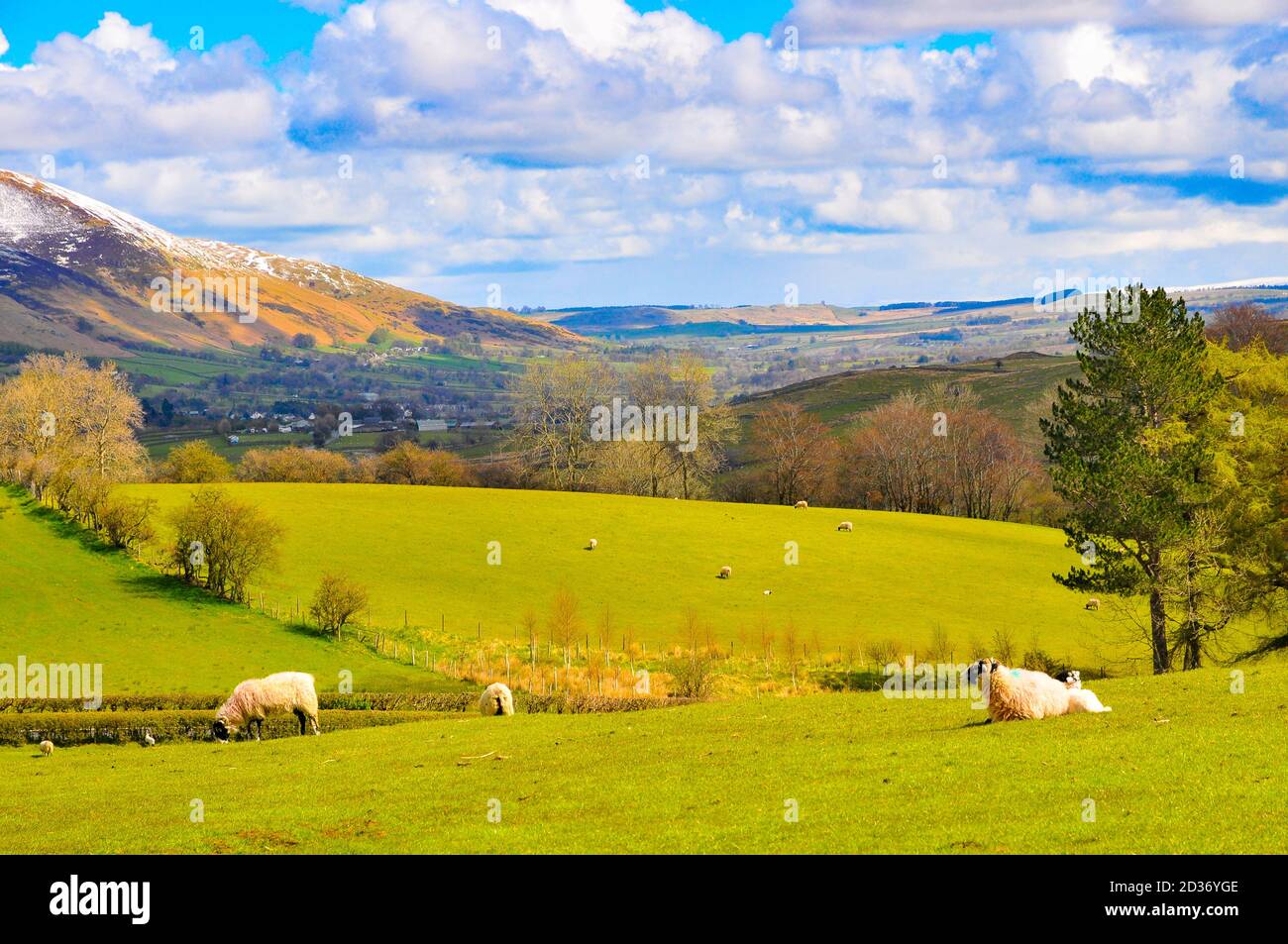 Lake District Paysage qui ressemble à quelque chose de Tolkien Banque D'Images