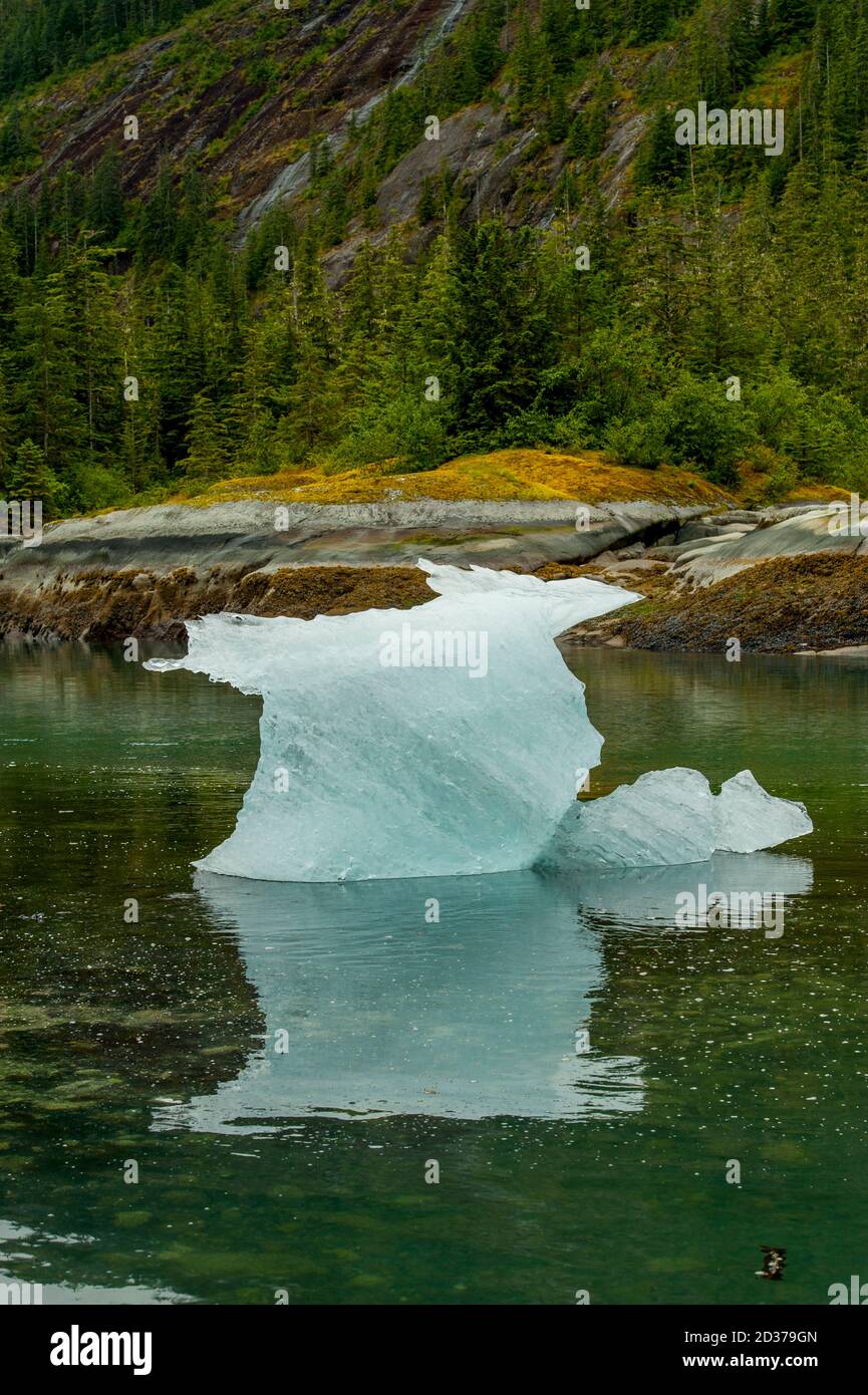 Petit iceberg à Fords Terror, Endicott Arm, forêt nationale de Tongass, Alaska, États-Unis. Banque D'Images